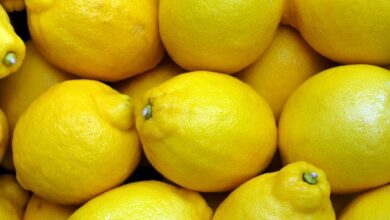Manfaat Jeruk Lemon dan Efek Sampingnya bagi Tubuh