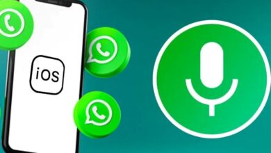 Pengguna iOS Sekarang Bisa Merekam Status Suara di WhatsApp