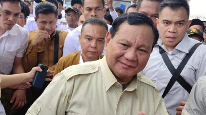 Prabowo Soal Effendi Simbolon Dipanggil PDIP: Bukan Urusan Saya