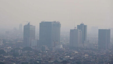 Pemprov: Baru 13% ASN DKI Jakarta Lakukan WFH, Hari Pertama